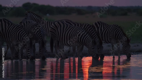 Zebra At Waterhole At Sunset photo