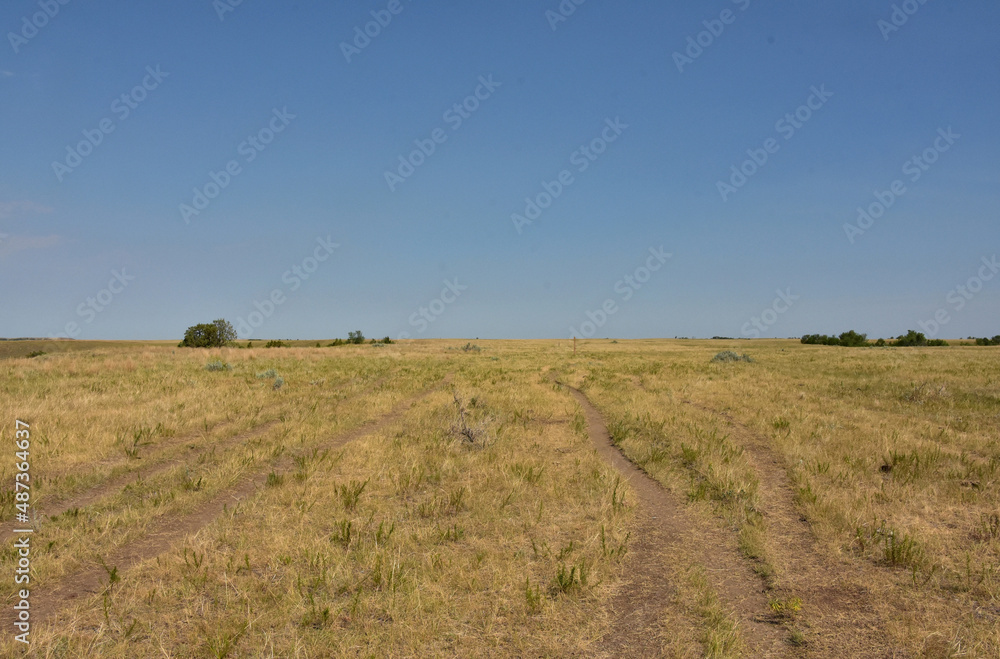 Grasslands with Narrow Game Trails Meandering Through