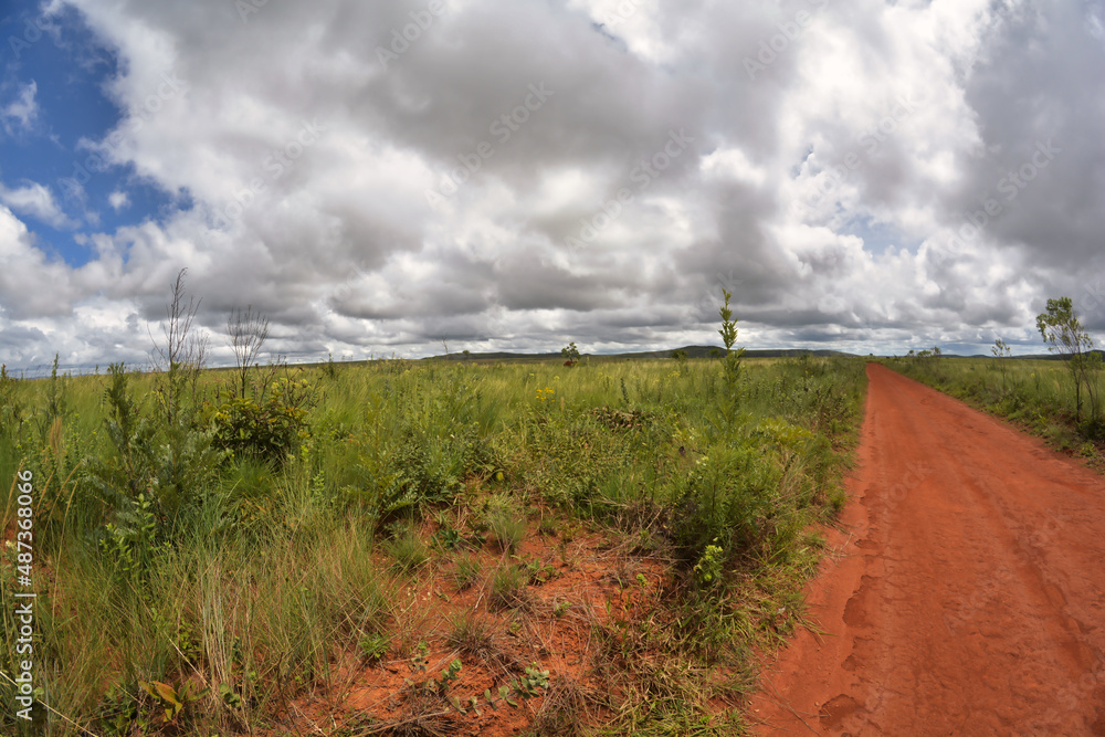 Parque Nacional da Serra da Canastra, Minas Gerais. Brasil. 