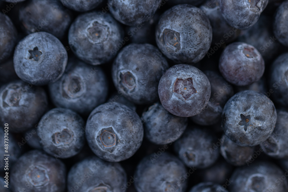 Ripe blueberries on a plate Ripe blueberries on a plate