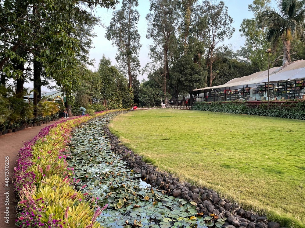 Obraz premium lavender field