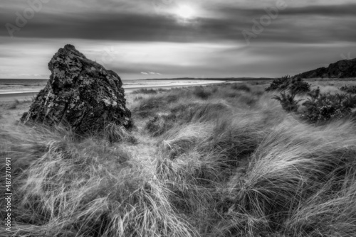 St Cryrus National Nature Reserve