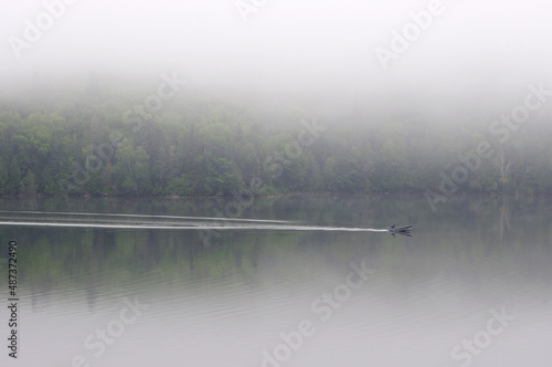 Wallpaper Mural fishing boat on still lake on foggy summer morning with copy space Torontodigital.ca