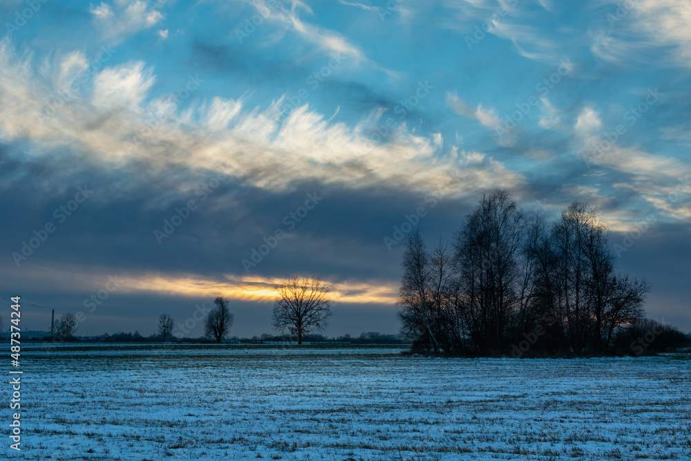 Abstract clouds in the winter evening and trees in the field