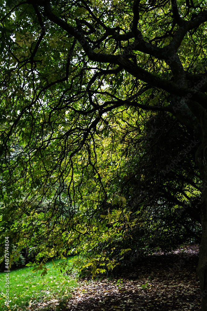 royal botanic garden royal botanic garden