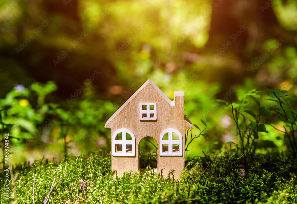 the symbol of the house stands on green moss the symbol of the house stands on green moss