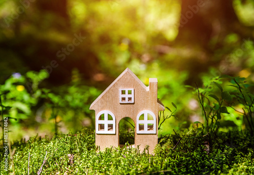 the symbol of the house stands on green moss