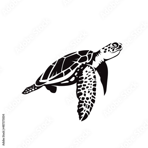 sea turtle swimming silhouette
