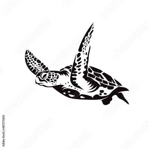sea turtle swimming silhouette