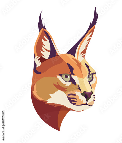 Caracal wild cat isolated vector illustration