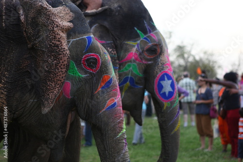 holi elephants