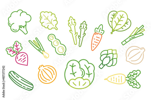 hand drawn vegetables icons