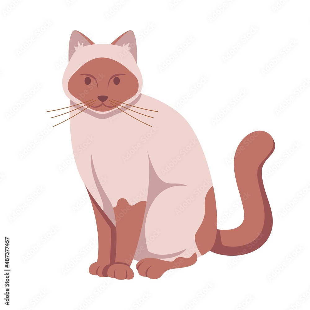 Flat vector illustration of sweet gray cat isolated on white background.