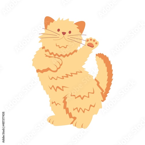 Cute funny ginger kitten plays alone.