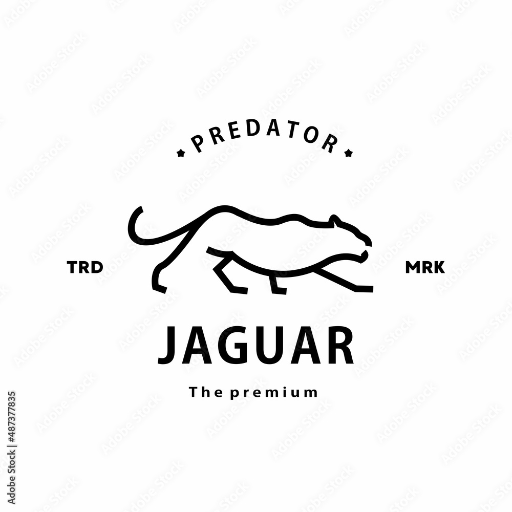 Obraz premium vintage retro hipster jaguar logo vector outline monoline art icon