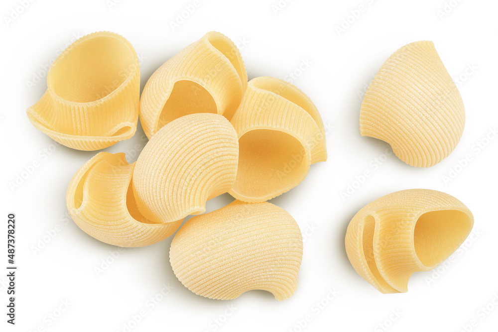 lumaconi pasta isolated on white background with clipping path and full depth of field. Top view. Flat lay lumaconi pasta isolated on white background with clipping path and full depth of field. Top view. Flat lay