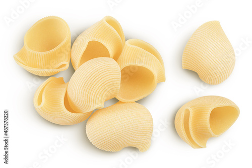 lumaconi pasta isolated on white background with clipping path and full depth of field. Top view. Flat lay