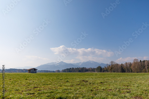 Landscape of green madows in bavaria with alps in background photo