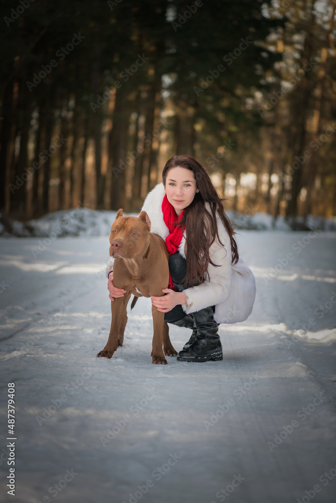 Obraz premium Portrait of a young beautiful dark-haired girl with a pit bull terrier in the winter forest.