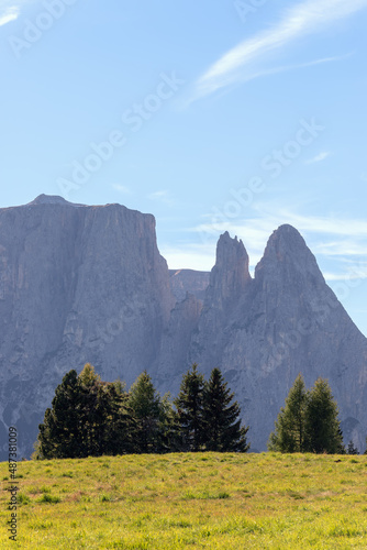 Punta Euringer mountain in the morning. Seiser Alm  South Tyrol  Italy  Vertical photo 