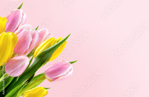 Fototapeta Naklejka Na Ścianę i Meble -  Bouquet of pink and yellow tulip flowers on pink background