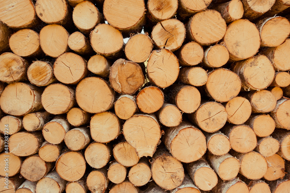 Stack of tree trunks. Texture background Stack of tree trunks. Texture background