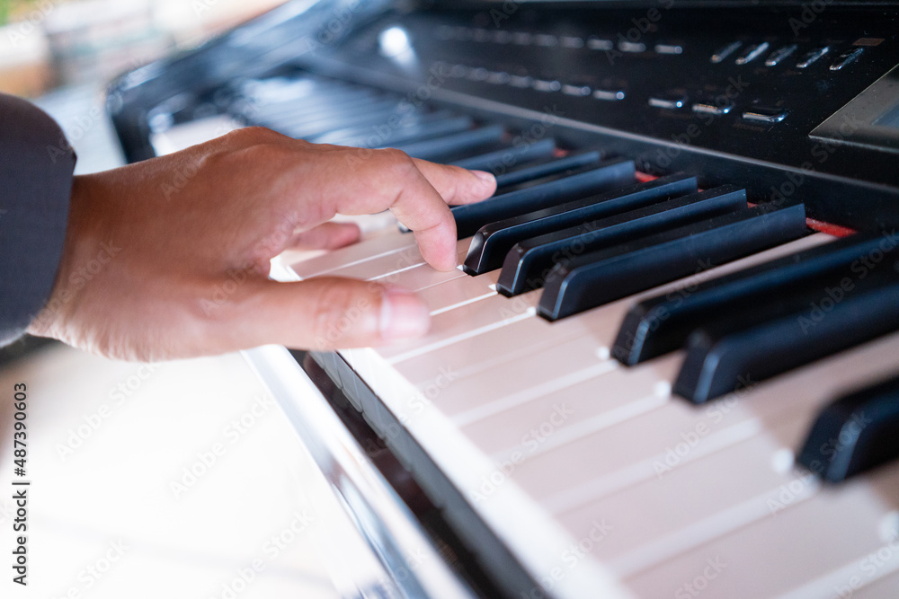 The musicians were playing the piano for the joy of life. The musicians were playing the piano for the joy of life.