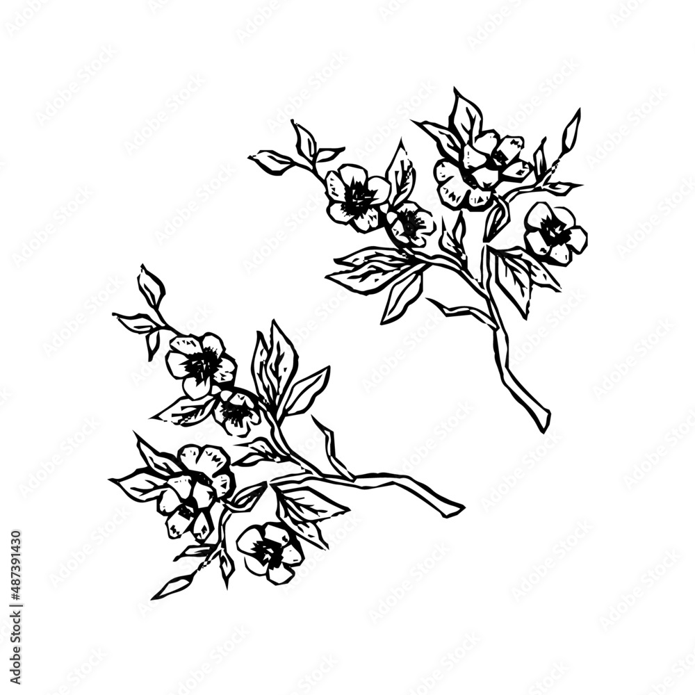 black and white silhouettes of flowers black and white silhouettes of flowers