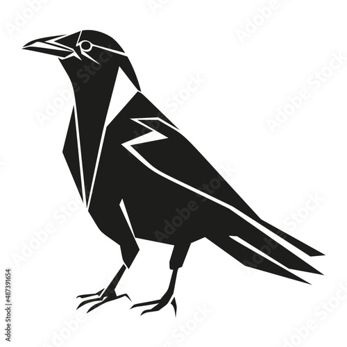 crow on a white