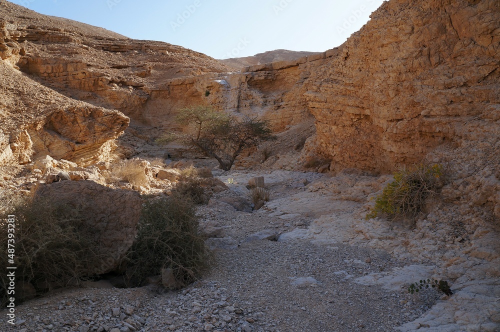 Hiking in Nahal Amram near Eilat, South Israel