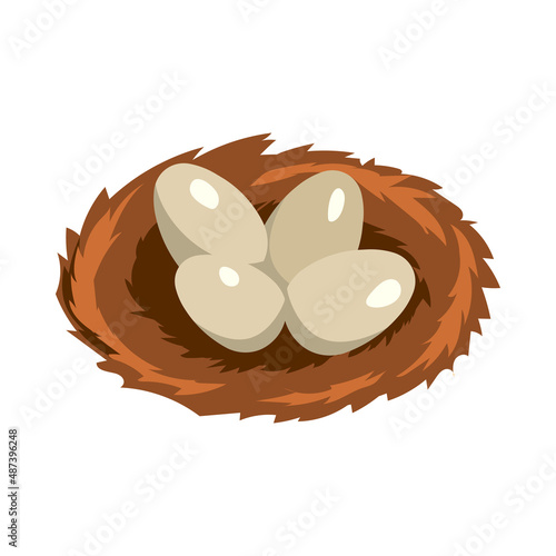 Poultry Eggs Nest Composition
