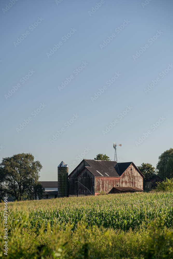 Red Barn Among Trees with Windmill Under a Blue Sky with a Harvest Ready Corn Field in the Foreground Red Barn Among Trees with Windmill Under a Blue Sky with a Harvest Ready Corn Field in the Foreground