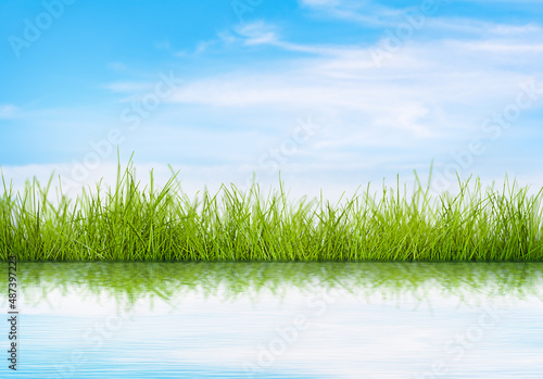 Fototapeta Naklejka Na Ścianę i Meble -  lake shore and spring grass. spring landscape