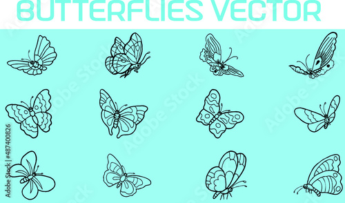 sketch, illustration, black, nature, graphic, vector, butterfly, pattern, isolated, vintage, decorative, spring, coloring book, tattoo, doodle, natural, element, drawing, wings, retro, art, design, cu