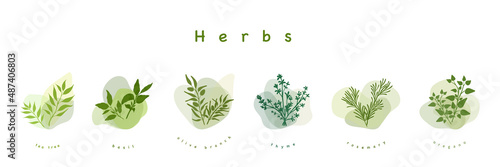 Color herbs on white background. Minimalistic botanical elements for design of cosmetics or spices. Hand-drawn design concept. Vector illustration