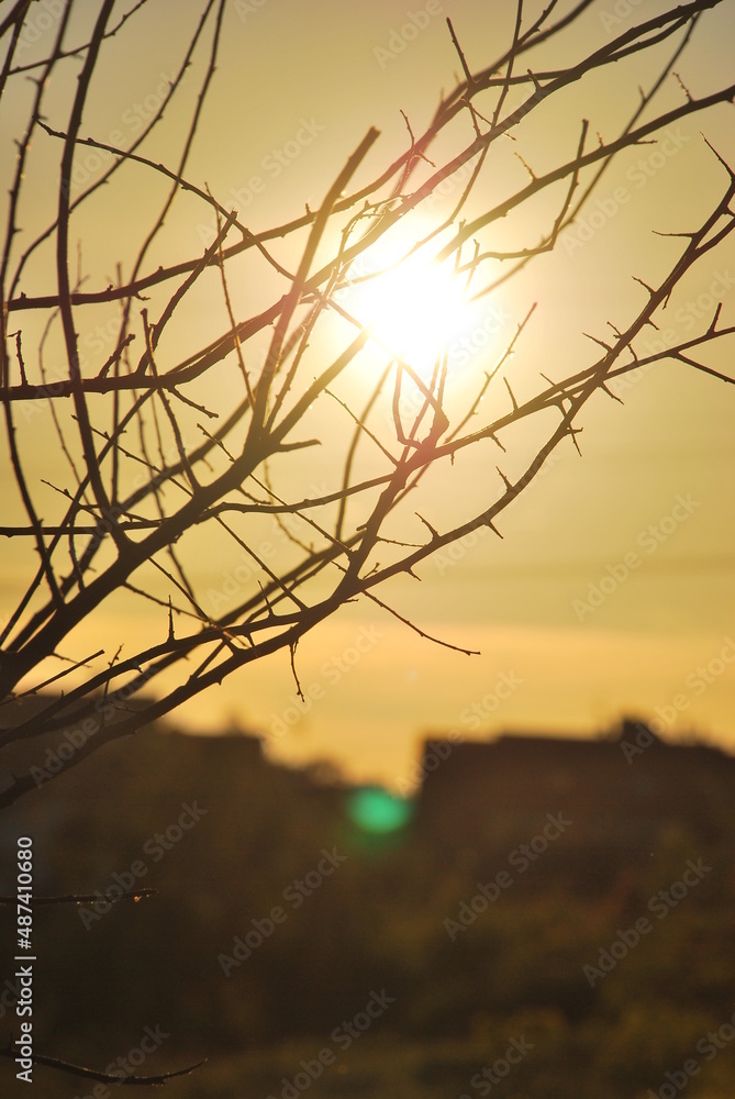Sunset and tree Sunset and tree
