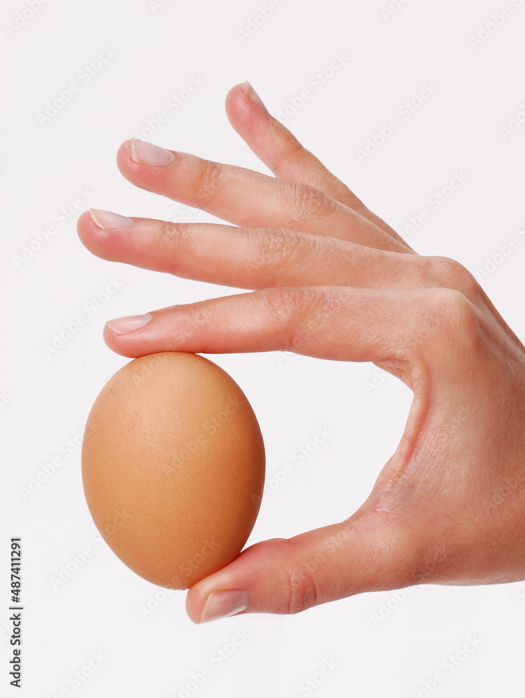 Femaie hand closeup hold egg shell isolated on white background. Femaie hand closeup hold egg shell isolated on white background.
