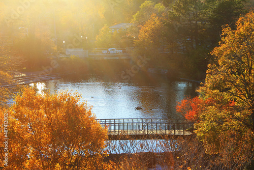 Autumn view of Bowring park, at the duck pond, sunset. photo
