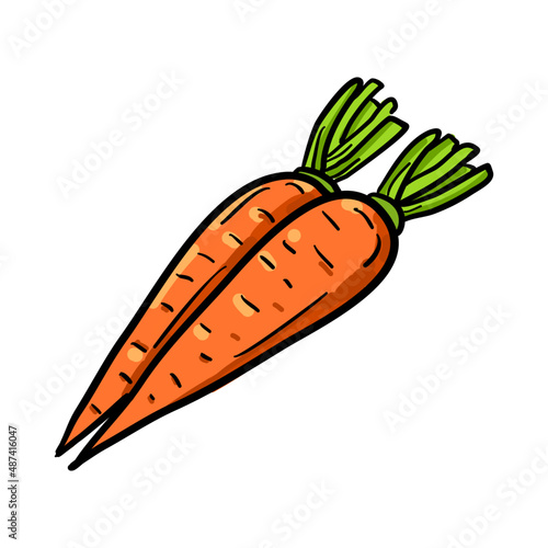 Vector illustration, carrot isolated on a white background.