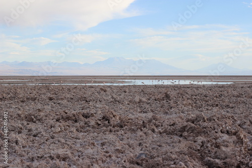 Deserto do Atacama paisagens texturas cores flamingos