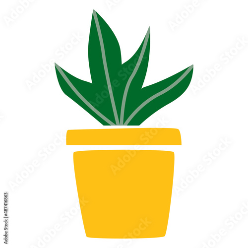 Vector illustration of cactus in flower pot. Succulent houseplant home gardening and decoration. Cacti smiling friendly character. For cards, social media, banners and printing on paper or textile. 