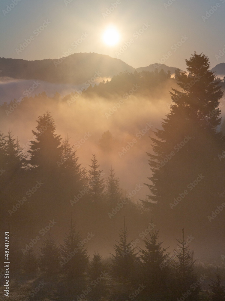 Sunrise in the Bieszczady Mountains (Werlas) against the backdrop of the mountains Sunrise in the Bieszczady Mountains (Werlas) against the backdrop of the mountains