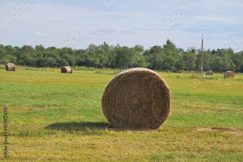 Hay bale and field