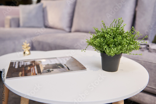 Soft focus on a white journal table with a decor of green potted plant and a catalogue, displayed on a furniture store showroom and a light upholstered settee on the background