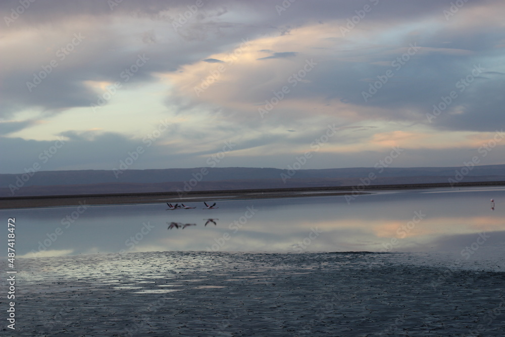 Deserto do Atacama paisagens texturas cores flamingos Deserto do Atacama paisagens texturas cores flamingos