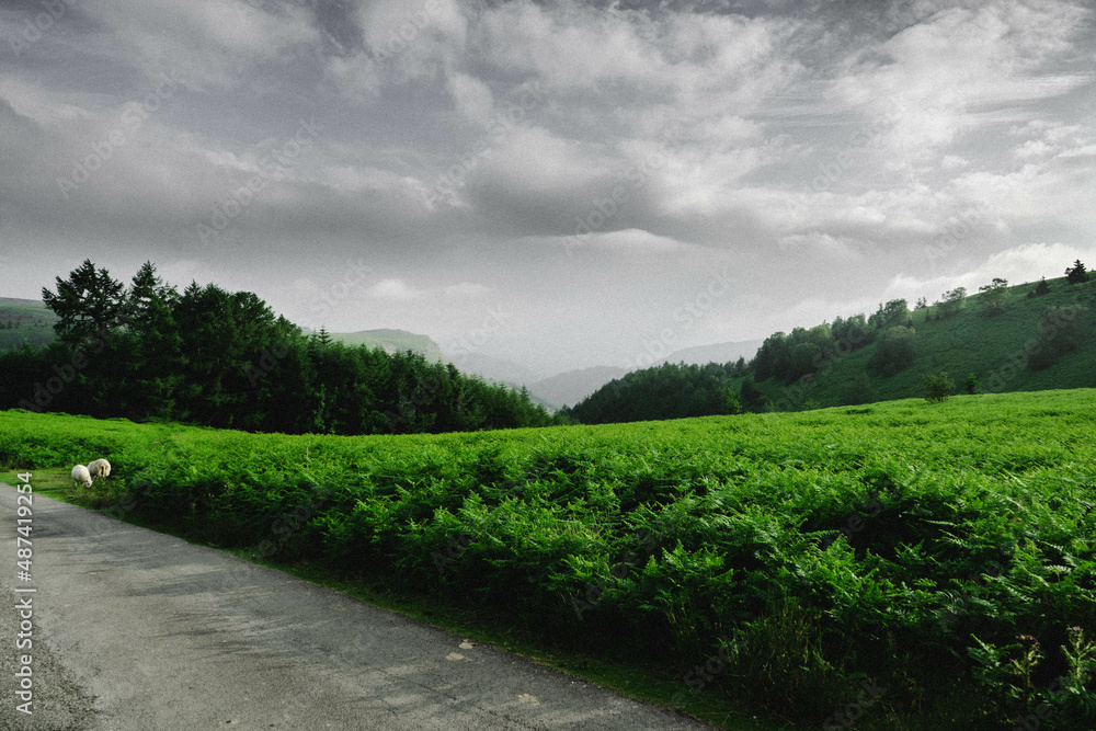 Obraz premium World's End View