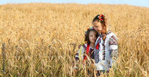 Obraz na plátne Ukrainian children girls sisters in embroidered shirts and a wreath stand in a field of wheat embracing