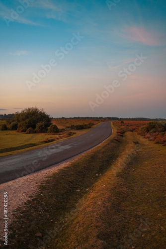 New Forest Sunset