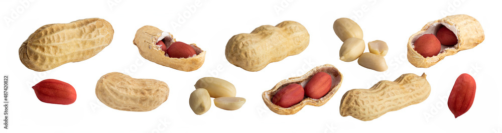 set of peanuts in a nutshell, unpeeled and shelled peanuts isolated on white background. set of peanuts in a nutshell, unpeeled and shelled peanuts isolated on white background.