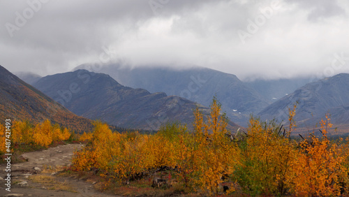 Autumn colorful tundra on the background mountain peaks in cloudy weather. Mountain landscape in Kola Peninsula, Arctic, Khibiny Mountains.